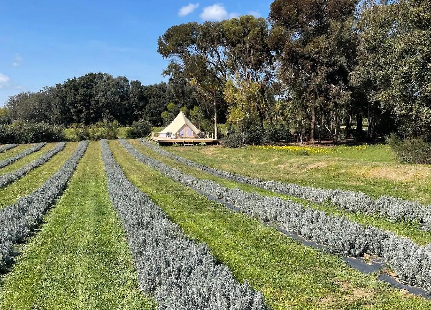 Lavender Glamping 호텔 Elmas